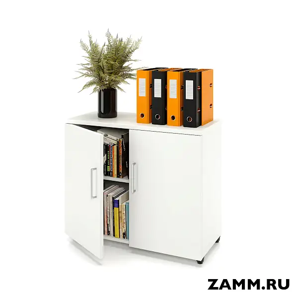 Шкаф ZAMM распашной 2 полки, 2 двери. На регулируемых опорах 900 (Ш:900, Г:414, В:747)