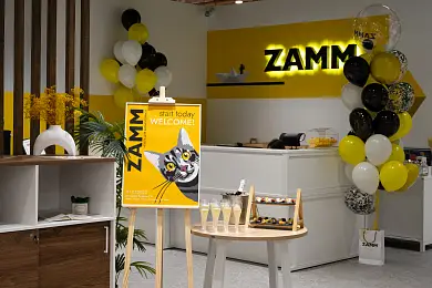 Шоу-рум ZAMM для юр. и физ. лиц (Покровка)