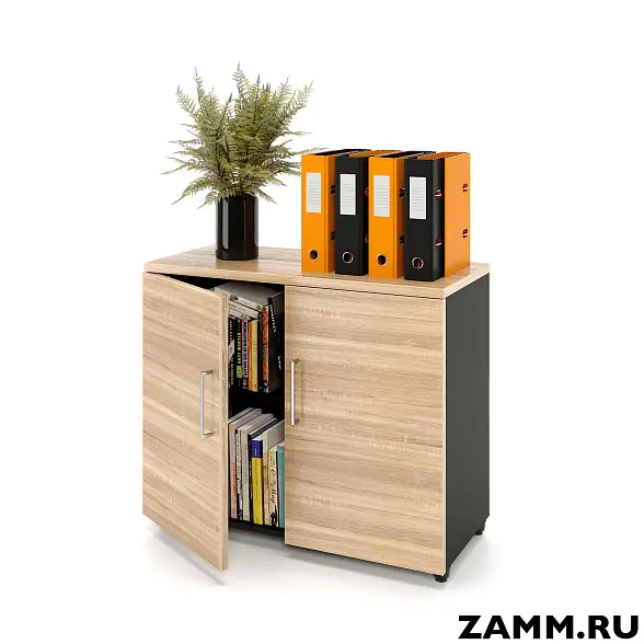 Шкаф ZAMM распашной 2 полки, 2 двери. На регулируемых опорах 900 (Ш:900, Г:414, В:747)