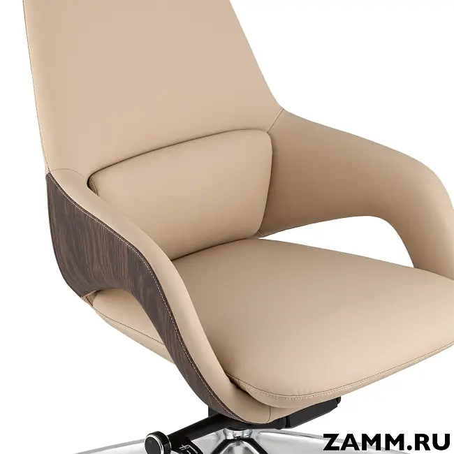 Кресло офисное TopChairs Reign