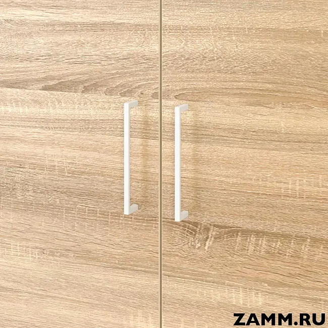 Шкаф ZAMM распашной 2 полки, 2 двери для дома. На металлокаркасе 900 (Ш:900, Г:414, В:831)