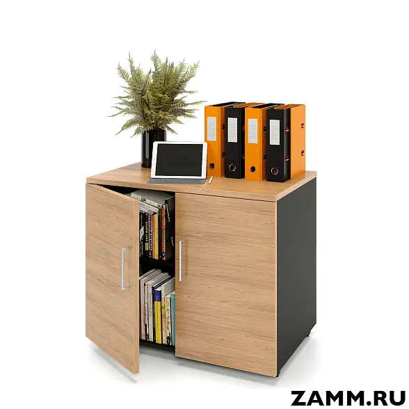 Шкаф ZAMM распашной 2 полки, 2 двери. На регулируемых опорах 900. В=600 (Ш:900, Г:600, В:747)