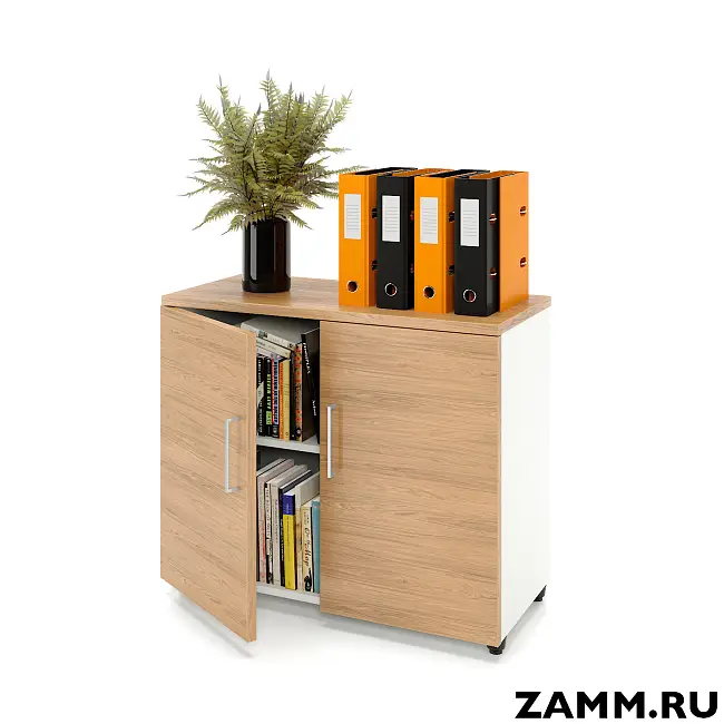 Шкаф ZAMM распашной 2 полки, 2 двери. На регулируемых опорах 900